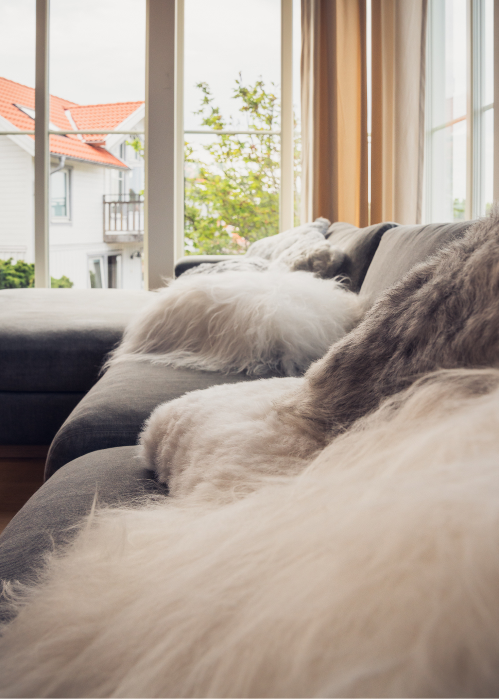 white and grey fur pillows on couch
